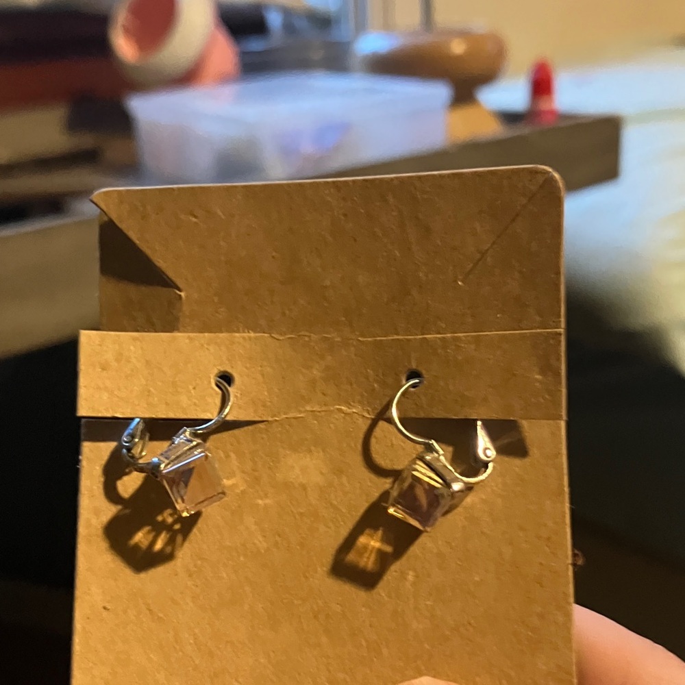 Elegant Silver Earrings